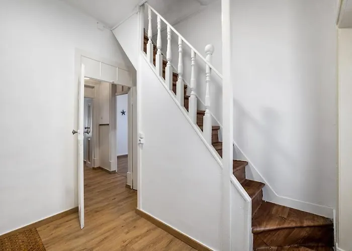 Tipico - Mafra Daire